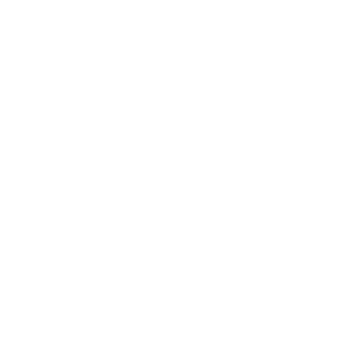 FFG - Partner of Vectorbirds airborne systems FFG - Partner of Vectorbirds airborne systems