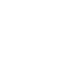 Fraunhofer IOPT - Partner of Vectorbirds airborne systems Fraunhofer IOPT - Partner of Vectorbirds airborne systems