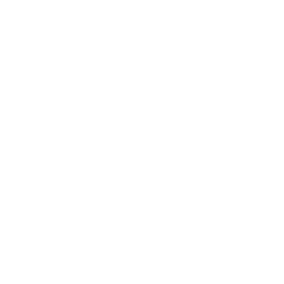 RWTH Aachen - Partner of Vectorbirds airborne systems RWTH Aachen - Partner of Vectorbirds airborne systems