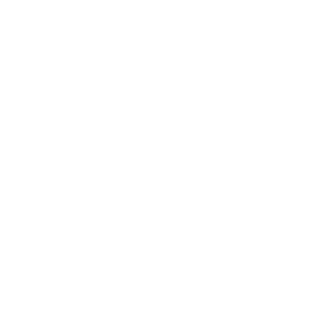 VVR - Partner of Vectorbirds airborne systems VVR - Partner of Vectorbirds airborne systems
