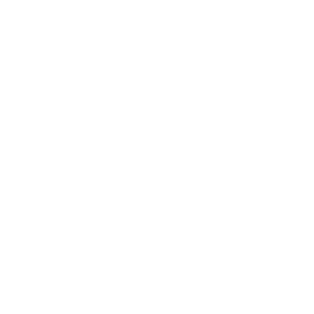 TeleOrbit  - Partner of Vectorbirds airborne systems