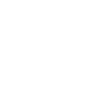 Fraunhofer IWU Institut Fraunhofer IWU Institut Partner von Vectorbirds airborne systems