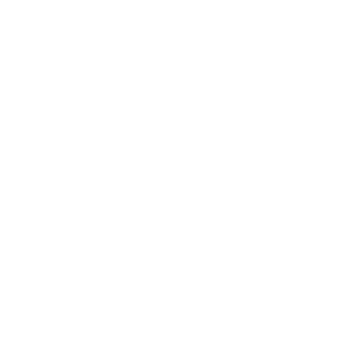 DregerGroup - Partner of Vectorbirds airborne systems DregerGroup - Partner of Vectorbirds airborne systems