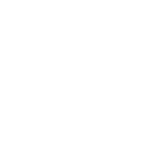 griffity defense - Partner of Vectorbirds airborne systems griffity defense - Partner of Vectorbirds airborne systems