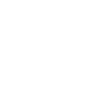 KMW - Partner of Vectorbirds airborne systems