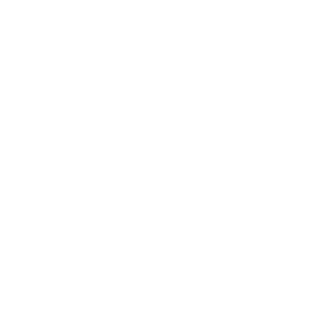 Airbus defense and space - Partner of Vectorbirds airborne systems Airbus defense and space - Partner of Vectorbirds airborne systems